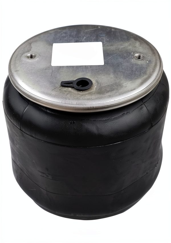World American WA01-9069C Air Spring (REVERSIBLE SLEEVE)-1